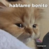 Mood Random! 19