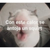 Emoticon😭 6