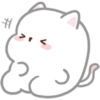 Kucing gemoy 13