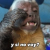 Memes 28 25