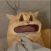 Meme kucing 1 10