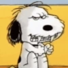 🐾Snoopy enojado 😡 2 🦴 9