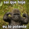 🐒 Macaco Engraçado  17