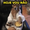 HOJE VOU NÃO