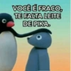 VOCÊ É FRACO, TE FALTA LEITE DE PIKA.