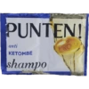 Plesetan 13