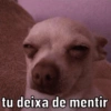tu deixa de mentir