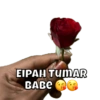 EIPAH TUMAR BABE