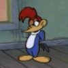 REACOES PICAPAU 8