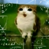 Meowl 🐱Gatos michis 🐾 26