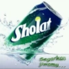 Plesetan 12