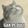 Kucing anomali 9