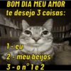 BOM DIA MEU AMOR te desejo 3 coisas: 1-eu 2-meu beijos 3-on°1e2