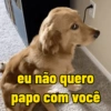 eu não quero papo com você