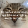 Da miedo ir al psicólogo qué tal si me arreglo y pierdo la chispa