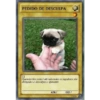 PEDIDO DE DESCULPA Quando esta carta é ativada todos os jogadores são obrigados a desculpar o oponente ATK/ DEF/ Tonk 2016 CHE