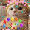 Feliz Aniversário 🎉 12