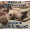 öldürür beni kirpiğinin her tanesii @miawlabakim iyi geceler askolarin bitanesii