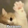 🧿 Anima tu chat😂😋 19