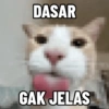 Kucing Anomali 2 11