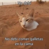 No debí No debí comer galletas en la cama