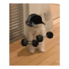 Gym 💪 11