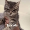 Tu cola