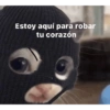 Estoy aquí para robar tu corazón