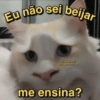 Eu não sei beijar Gustavinbr legendatriste me ensina?