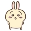 Usagi 16