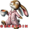 GUNAY DIN