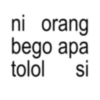 ni orang bego apa tolol si