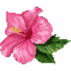 Pixel pink  8