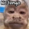 No tengo