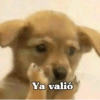 Ya valió