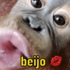 beijo