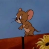 🧿Jerry 🐁🐭 11