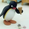 Pingu. | @ocenferios  Haki. 6