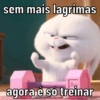 Academia memes 💪 5