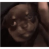 Ariana what are you doing here  7