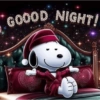 Snoopy 20