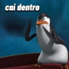 Pinguins de Madagascar meme 13