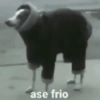 Reações frio 🥶 14