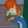 PICAPAU 12