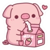 Pig cute / babi 6