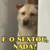 EO SEXTOU, NADA?