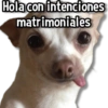 Hola con intenciones matrimoniales