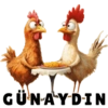 GÜNAYDIN