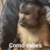 Memes 28 24