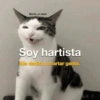 Gatos Good 😼🤟🏻 14